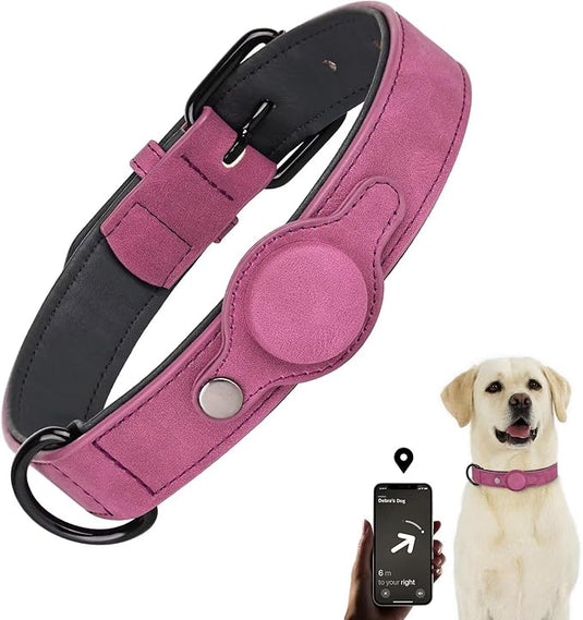 Collier Air Tag pour chien avec boucle en métal pour chiens de taille moyenne à grande